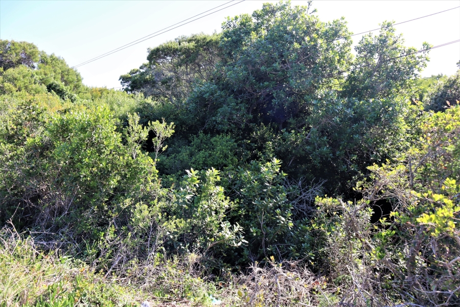 0 Bedroom Property for Sale in Paradise Beach Eastern Cape